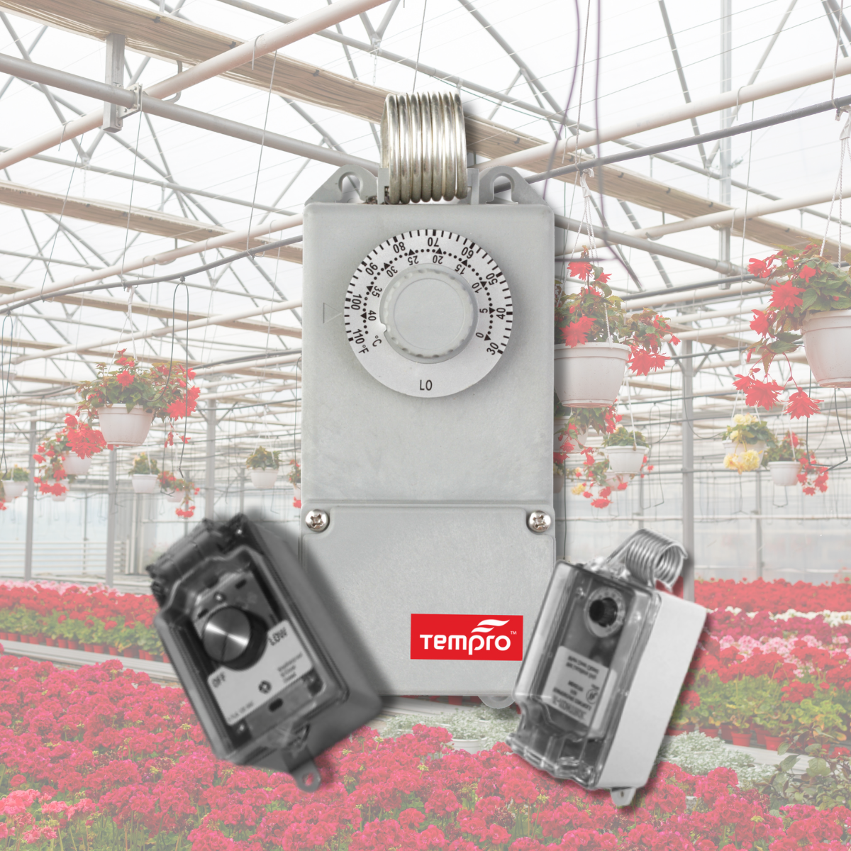 greenhouse temperature control